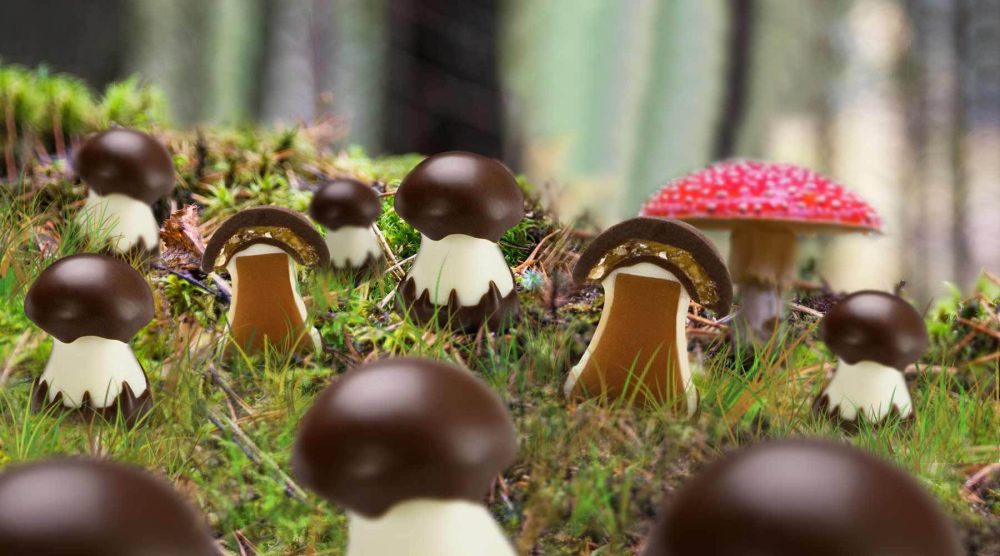Michel Cluizel Chocolate Mushrooms Aesthetic