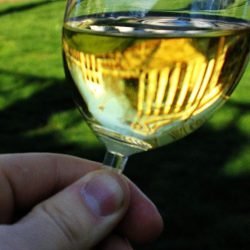 chardonnay wine-min