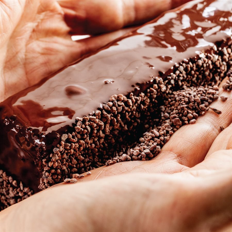 Felchlin Ghana Caramelized Cocoa Nibs Application