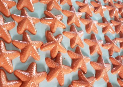 Homer Truffle Co State Park 50th Anniversary Starfish-min
