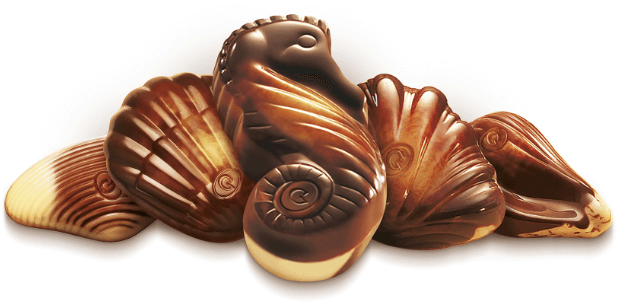 guylian original sea shells