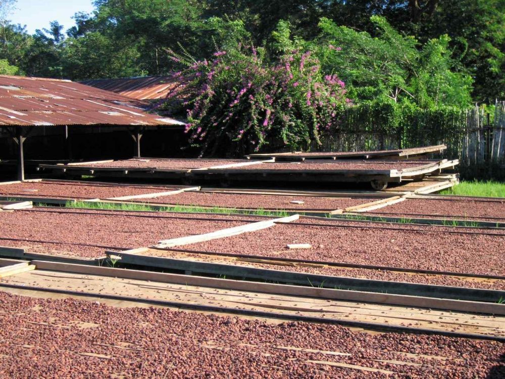 Monsoon Chocolate Bejofo Estate Madagascar-min