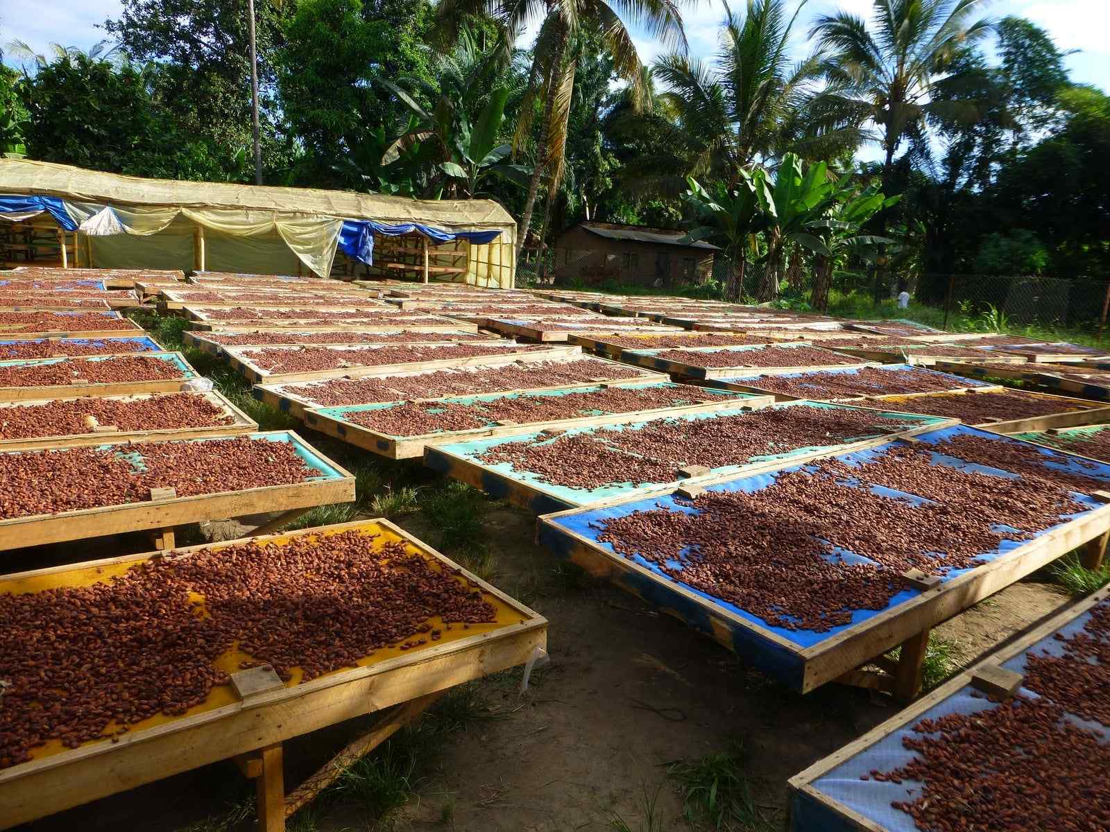 Monsoon Chocolate Kokoa Kamili Tanzania-min