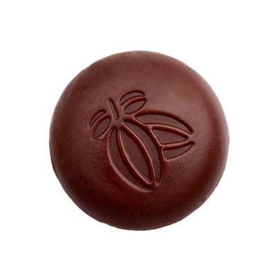 Felchlin Bolivia 75% Cacao Fruit Couverture Disc