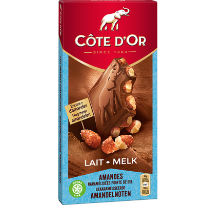 Cote d'Or Milk Chocolate Bar with Caramelized Almonds & a Pinch of Salt