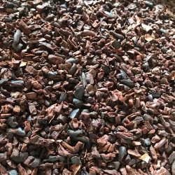 Taste Artisan Chocolate Dominican Republic Cacao Nibs