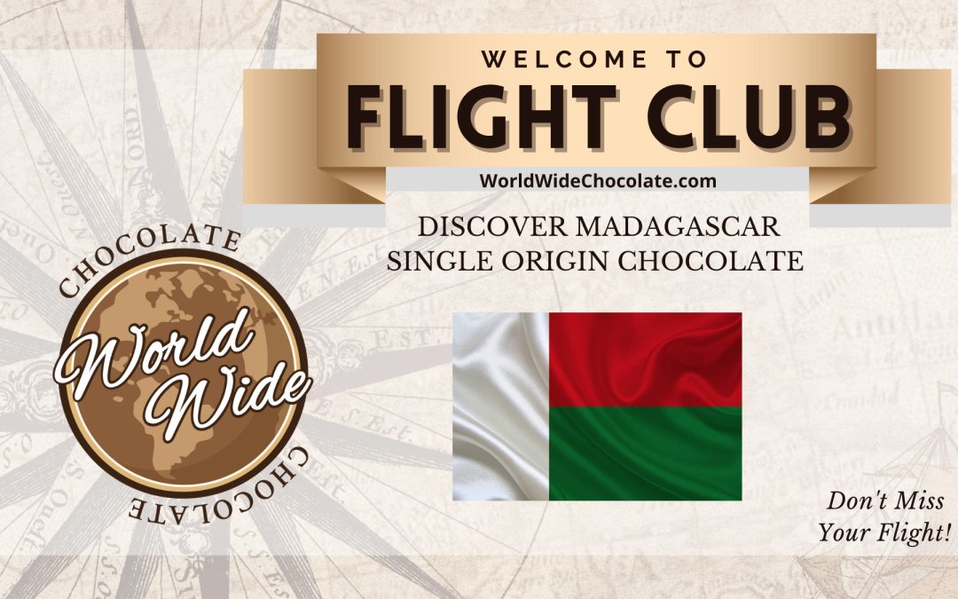 Protected: In-Flight Entertainment | November 2022 | Madagascan Pilgrimage